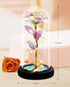 Galaxy Rose Flower for Women, Rainbow Forever Light Up Rose in A Glass Dome